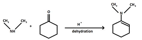 The reaction of cyclohexanone with dimethylamine in the presence of the catalytic amount of an ...