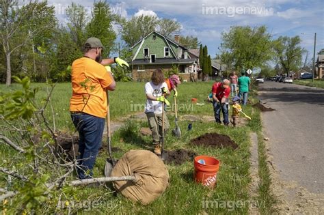 【Detroit, Michigan - Volunteers from the Greening of Detroit and the Morningside Community ...