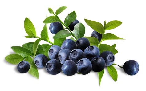 Download Food Blueberry HD Wallpaper