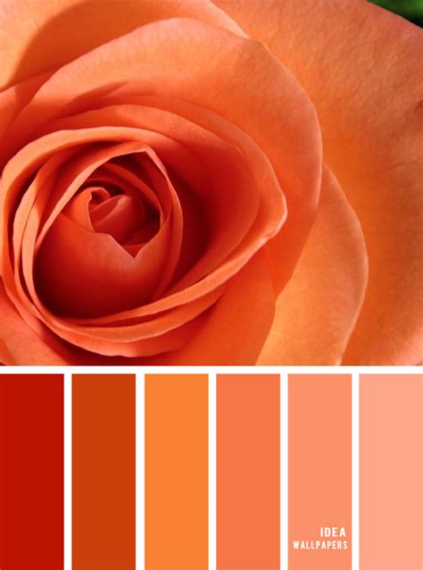 Colour Inspiration : Orange and peach color palette - Idea Wallpapers , iPhone Wallpapers,Color ...