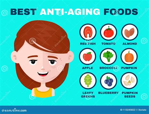 Best Anti-aging Foods Infographics Vector Stock Vector - Illustration of green, leafy: 113245822