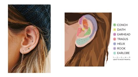 Names of different ear piercings - and pain levels!| Lee Renee ...