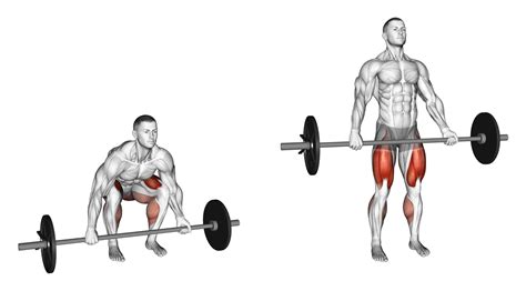 8 Best Types of Deadlift Variations (with Pictures!) - Inspire US