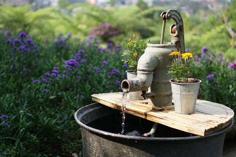 5 Formas de Filtrar el Agua del Grifo - Mundo Sin Residuos