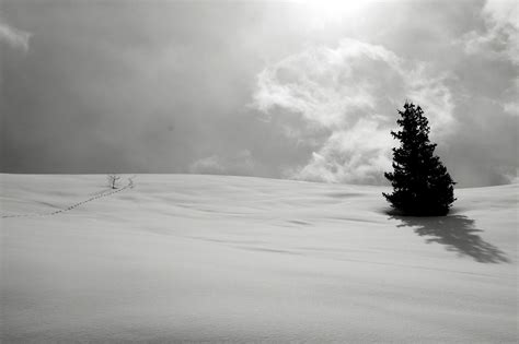 Footprints in the snow on Behance