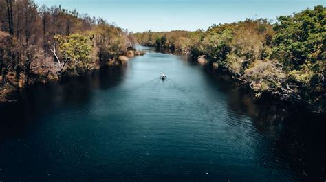 The Noosa Everglades Tour | A must-do on any Noosa itinerary