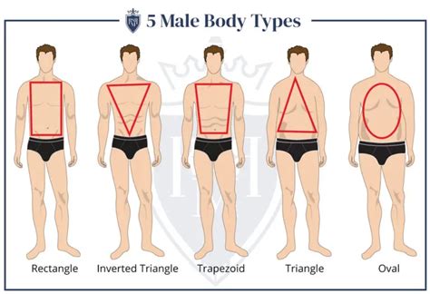 Body Shape & Men's Style - How To Dress For Your Body Type ...