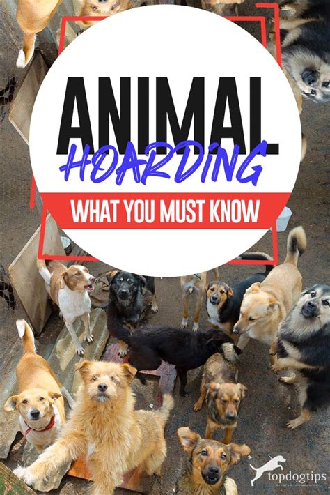 Animal Hoarding of Dogs and Cats: What You Must Know