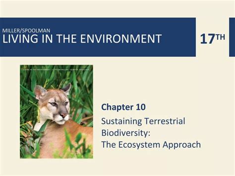 PPT - Chapter 10 Sustaining Terrestrial Biodiversity: The Ecosystem Approach PowerPoint ...