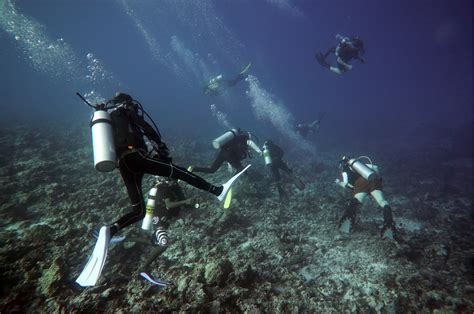 Insider secrets to diving in the Maldives | Well Known Places