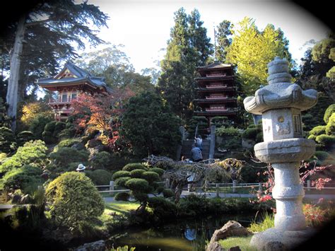 Japanese tea garden - Golden Gate Park, San Francisco, CA Golden Gate Park, Tea Garden, Places ...