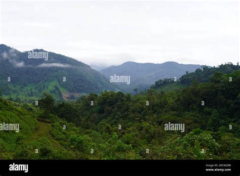 The beautiful Costa Rica Rainforest, waterfalls and blue river in the middle of the jungle Stock ...