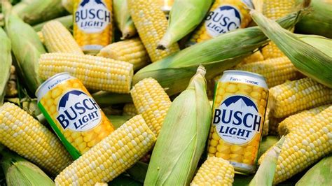 Bud Light Corn Can returns beer corn iowa midwest charity