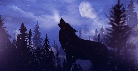 16 Best Songs About Wolves