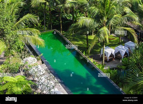 Infinity pool in Ubud, Bali, Indonesia Stock Photo - Alamy