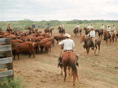 King Ranch's grand Main House, built by San Antonio architects ...