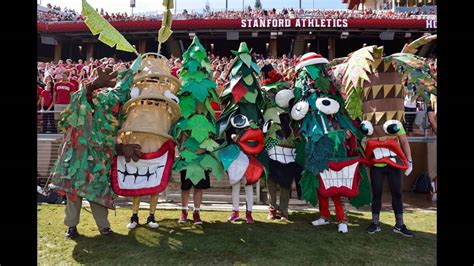 stanford university mascot - YouTube