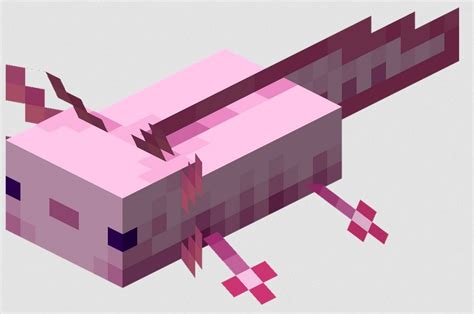 Purple Axolotl Minecraft – How to Summon – 2021 Easy Guide – GamePlayerr