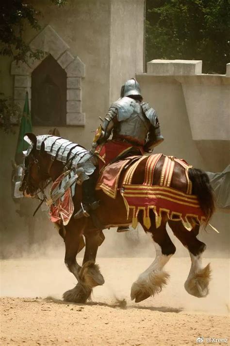 Pin by Q M on knight | Medieval horse, Horse armor, Knight in shining armor