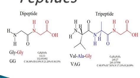 Peptide: Types and functions - Online Biology Notes