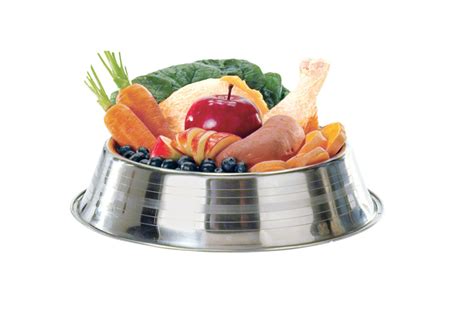 Tips On How To Make a Healthy Dog Food - Doglopedix