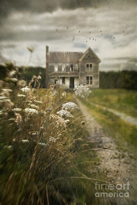 Country path leading to old abandoned farm house Photograph by Sandra Cunningham - Fine Art America