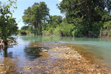 San Marcos River in Texas - A Fun River Adventure near San Antonio – Go ...