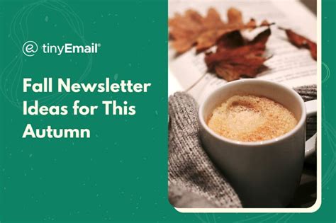 Fall Newsletter Ideas for This Autumn - tinyEmail® Marketing Automation