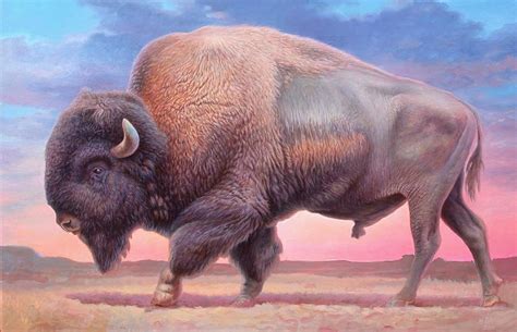 American Buffalo Painting by Hans Droog