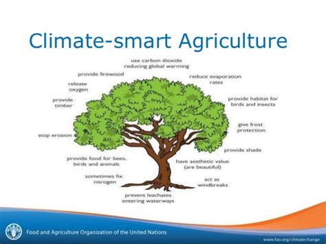 Climate-smart Agriculture