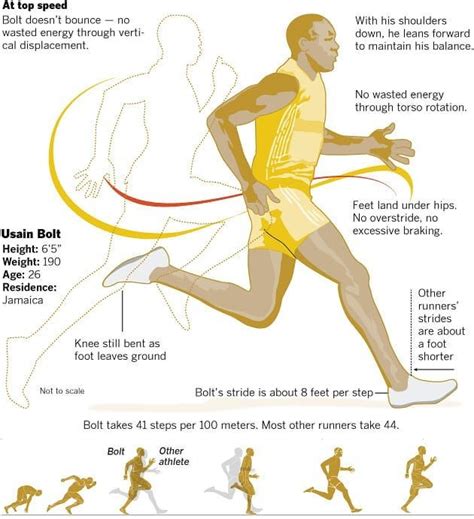 Here's some interesting information on Usain Bolt's sprint mechanics. 😀👍🐐 #instagood #instamood ...