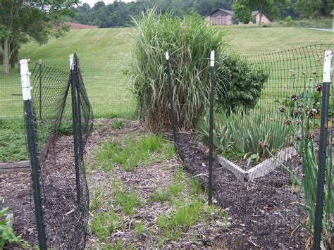 Keeping Deer Out of the Garden - Bonnie Plants | Diy garden fence, Vegetable garden, Plants