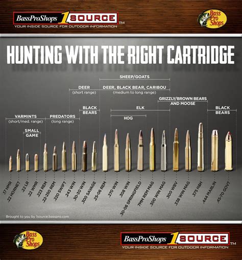 Rifles calibers for hunting animals #huntingideas Boar Hunting, Quail Hunting, Deer Hunting Tips ...