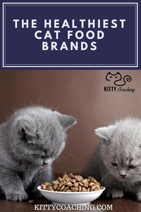 Healthiest Cat Food Brands (2018) | Healthy cat food, Healthy cat food ...