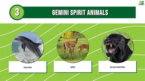 Meet the Gemini Spirit Animals & What They Mean - An Tâm