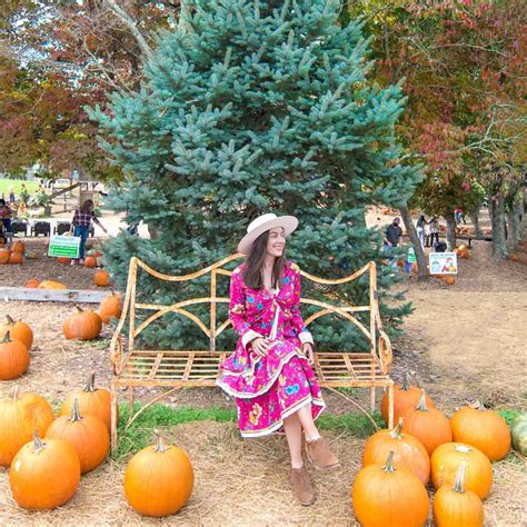 The 20 Best Fall Activities in Georgia: Pumpkin Patches, Festivals, & More!