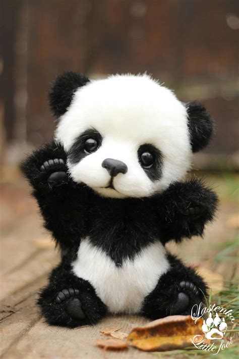 Baby Panda Bears, Cute Wild Animals, Cute Little Animals, Cute Funny Animals, Animals Beautiful ...