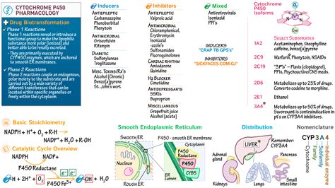 Clinical Pharmacology: Cytochrome P450 Pharmacology | ditki medical & biological sciences