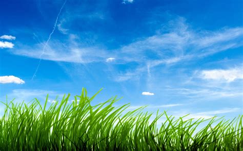 Blue Sky Green Grass Wallpapers | HD Wallpapers | ID #9470