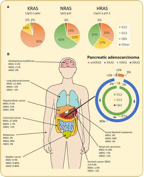 RAS mutations in human cancer. Summary of mutations of all RAS isoforms... | Download Scientific ...