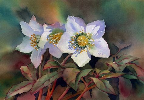 Ann's Watercolour Studio: Painting shadows on white flowers