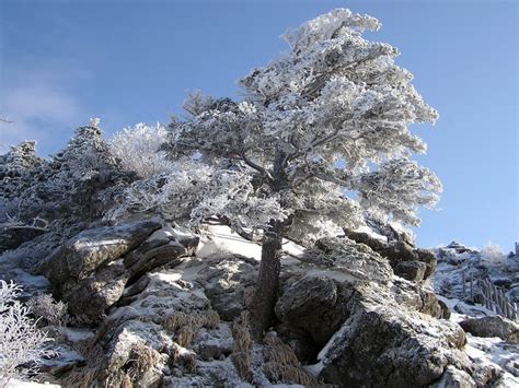 Jirisan Mountain Viewpoint Deck Landscape View H Stock Image - Image of horizontal, viewpoint ...