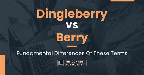 Dingleberry vs Berry: Fundamental Differences Of These Terms