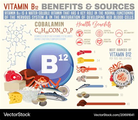 Vitamin b12 benefits Royalty Free Vector Image