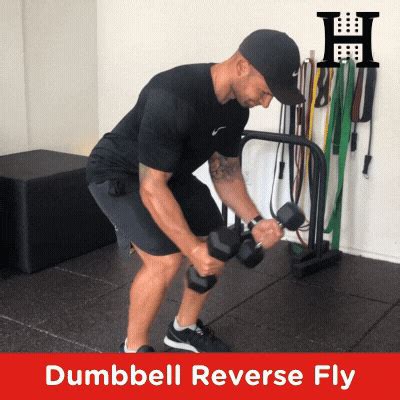 Exercise Tutorial: Dumbbell Reverse Fly