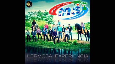 Hermosa Experiencia- Banda MS [Letra] - YouTube