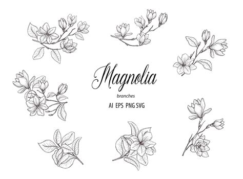 Botanical Magnolia Clipart Hand Drawn Floral Branches Leaves | Etsy Flor Magnolia, Magnolia ...