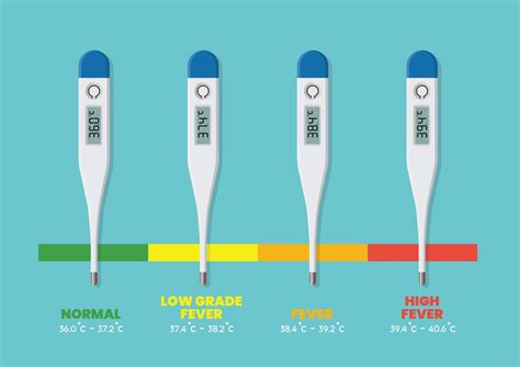 Fevers and Normal Body Temperature chart 18846333 Vector Art at Vecteezy