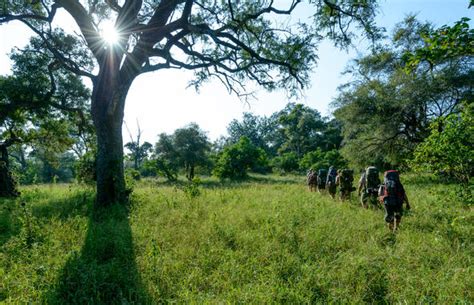 Kruger Park Activities, South Africa