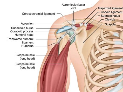 Dr Terence Moopanar | Shoulder Tendon Pain